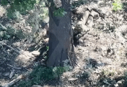 皇冠信用网会员_数十名俄军吞枪自杀皇冠信用网会员,多名女兵被炸死!用枪爆头会有痛苦吗?