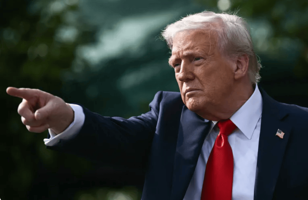 信用网出租代理_金灿荣：我们要是再回应特朗普信用网出租代理，就显得小家子气了