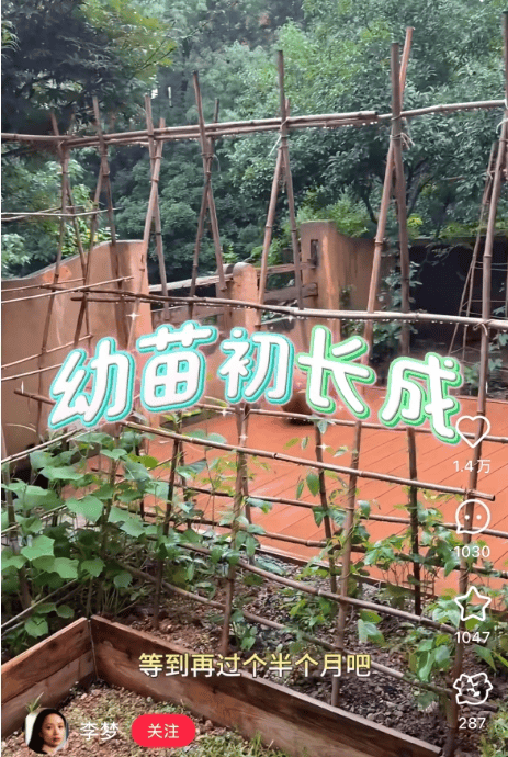 皇冠信用盘登3代理_知名女演员官宣:皇冠信用盘登3代理我搬到杭州了