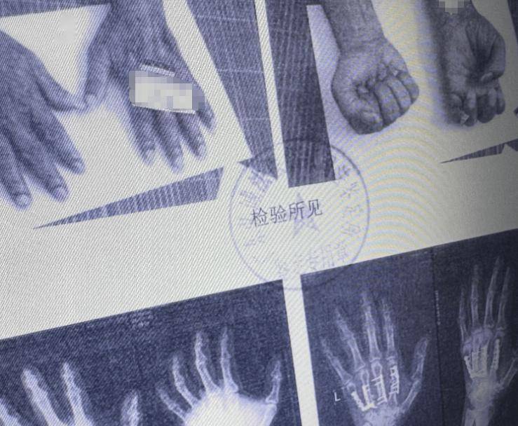 皇冠信用盘会员开户_南海开渔皇冠信用盘会员开户，无惧争“鲜”