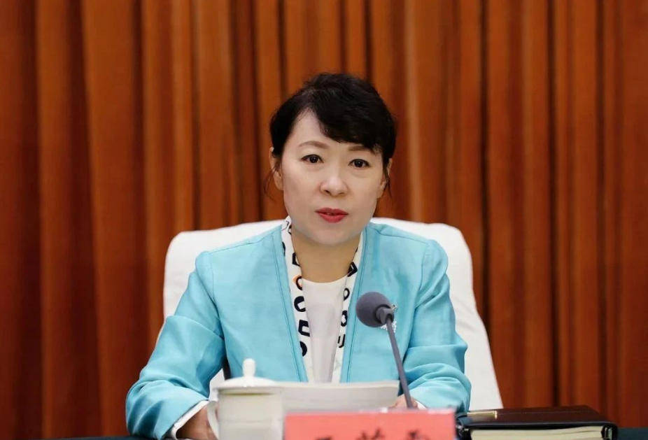 AC米兰vs克雷莫内塞_“换装主席”王莉霞的堕落：从光鲜人设到腐败深渊