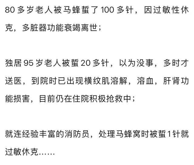 荷兰乙组联赛_别招惹！广东一老人中招荷兰乙组联赛，不幸去世