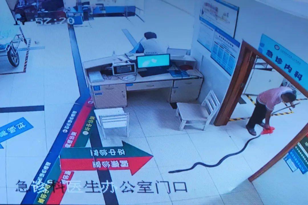 纽约红牛vs哥伦布机员_眼镜王蛇咬伤老人纽约红牛vs哥伦布机员，家属拖两米多长的“凶手”冲进医院！“拎蛇就医”可取吗？