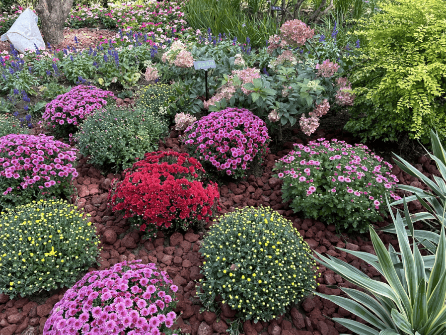 皇冠信用网怎么弄_本周六将迎阵雨;北京最大山姆会员店即将开业;北京最大公园来啦丨朝闻北京