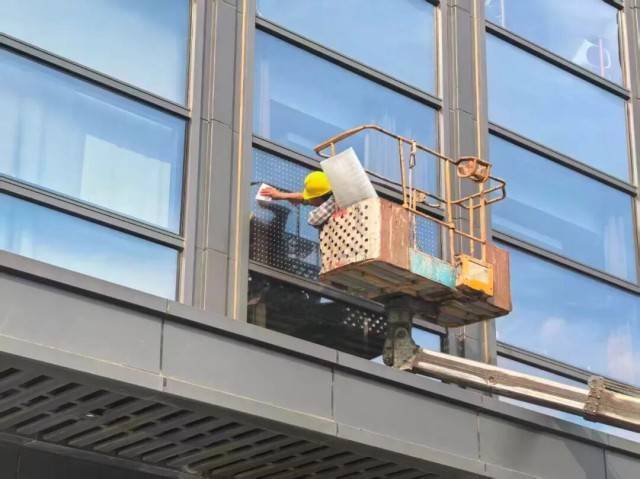 皇冠信用網账号申请_北京一座大厦楼下躺了14只鸟皇冠信用網账号申请,12只已死亡!元凶竟是玻璃