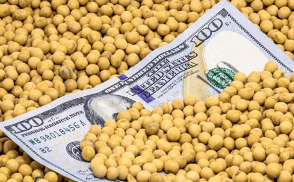 皇冠信用盘结算日是哪天_特朗普紧急发文皇冠信用盘结算日是哪天，对中国已做好最坏打算，或禁买中国食用油？提醒忠实盟友牢牢记住一点