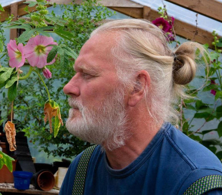 皇冠信用网代理_两只雌蚊和一只雄蚊被发现皇冠信用网代理，全球最后一个无蚊国冰岛“沦陷”