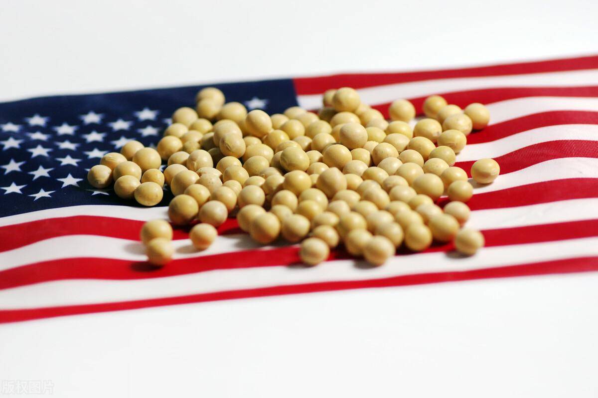 如何代理皇冠信用盘
_43万吨美国大豆将运往中国如何代理皇冠信用盘
,贝森特放话:下周签协议,中国将买1200万吨大豆!