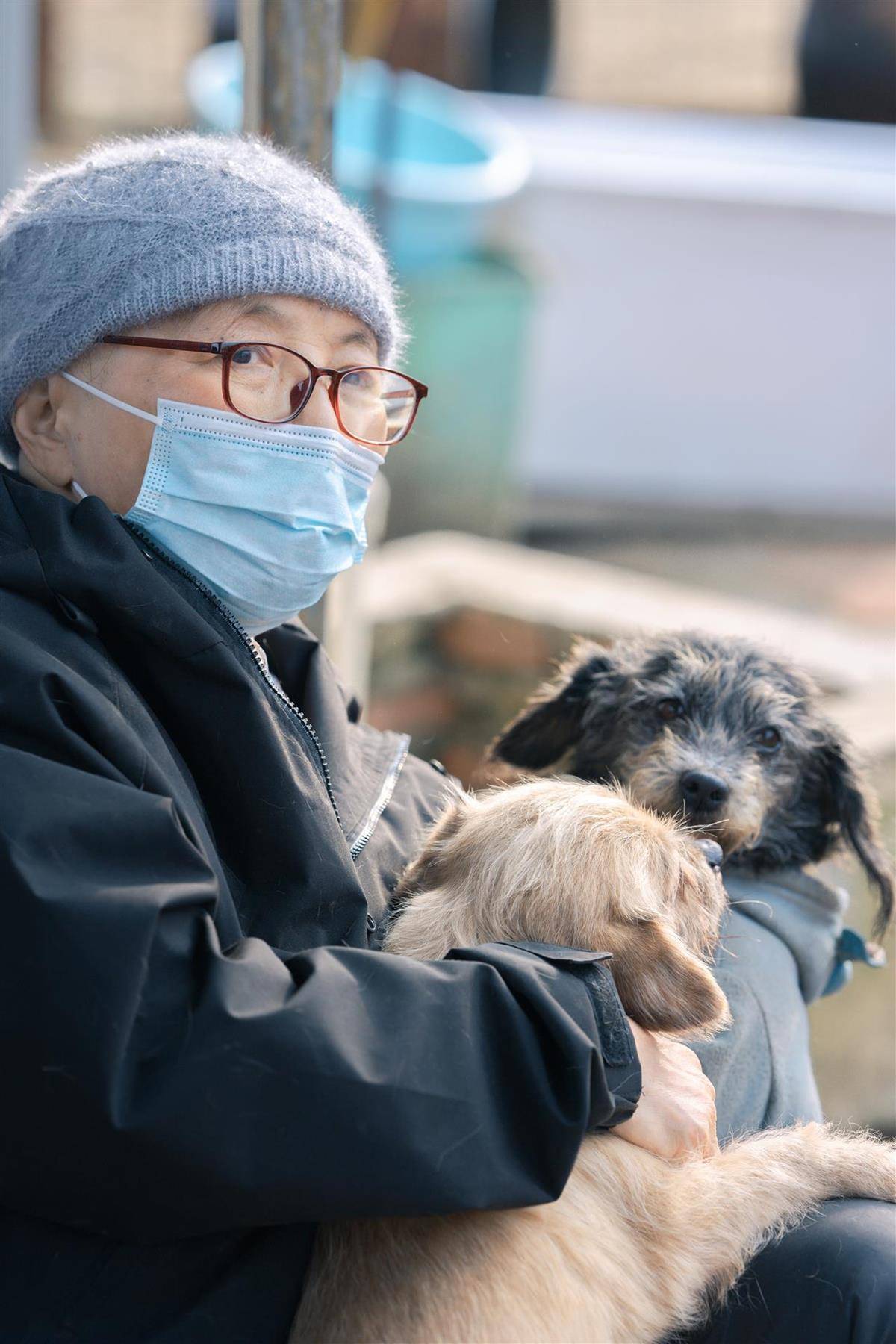 皇冠信用盘网址
_合肥卖房救助流浪狗的魏阿姨离世皇冠信用盘网址
,病中仍然惦记着基地的600只流浪狗,工人:不敢相信世上还有这样执着的人