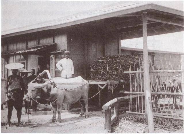 皇冠足球会员注册_日本欠台湾的血债皇冠足球会员注册，该还了！