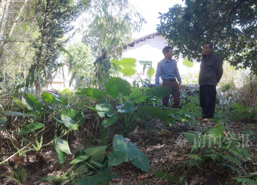 皇冠信用登2代理_柳州钓鱼阿叔竹林挖蚯蚓皇冠信用登2代理，竟挖出千年前的“大宝贝”！