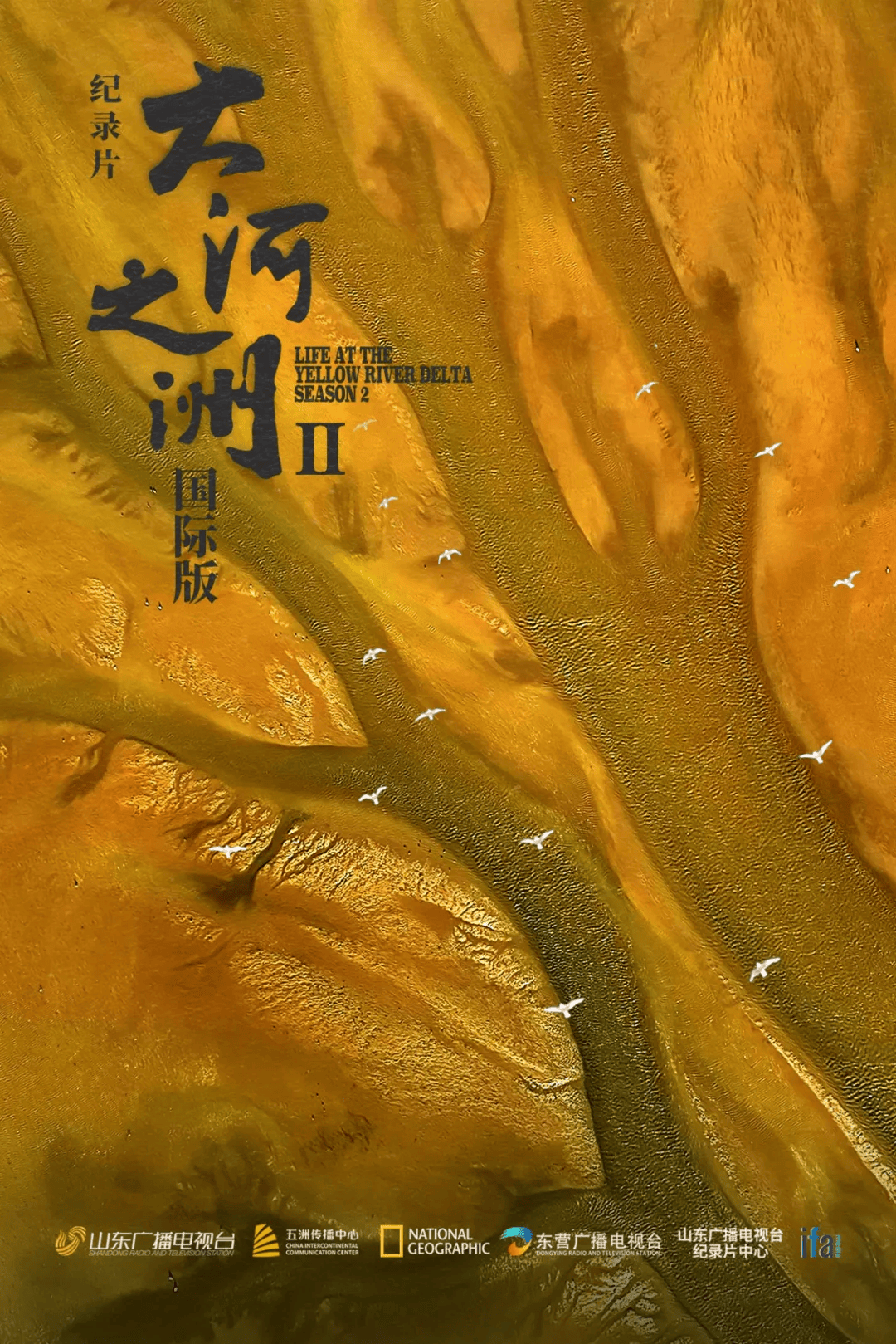 信用网怎么注册_山东省委宣传部副部长信用网怎么注册，山东省广播电视局党组书记、局长李建华：发挥创作传播优势 扛牢文化“两创”新使命