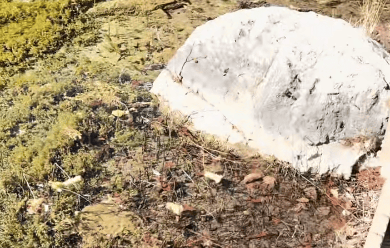 皇冠登一登二登三区别
_一游客在九寨沟乱扔玉米棒皇冠登一登二登三区别
,辩称“大自然的东西回大自然” 景区:明确禁止乱扔垃圾