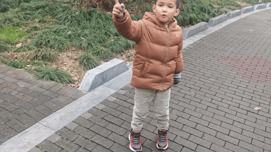 新2网址_宁波一小区内树木起火新2网址，7岁男孩发现后立刻用电话手表报警通知消防员灭火